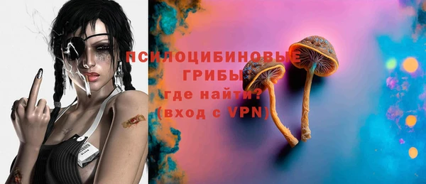 МДПВ Богородицк
