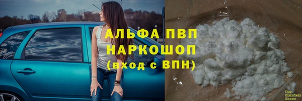 PSILOCYBIN Богданович