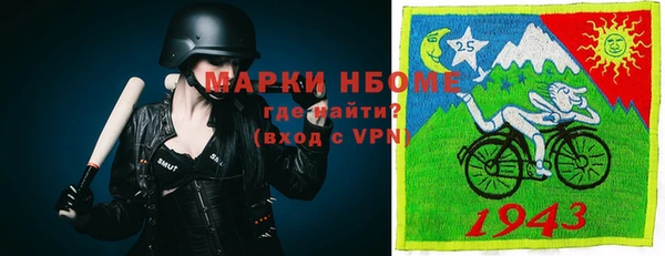 PSILOCYBIN Богданович