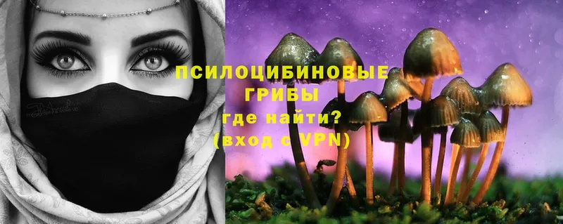 Псилоцибиновые грибы Psilocybine cubensis Жирновск